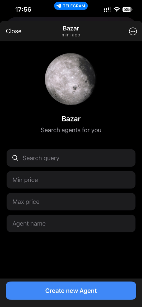 Search Interface